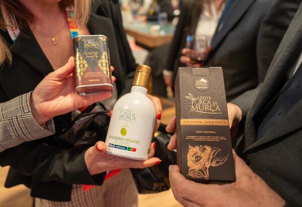 azeitemurca_fitur__1_