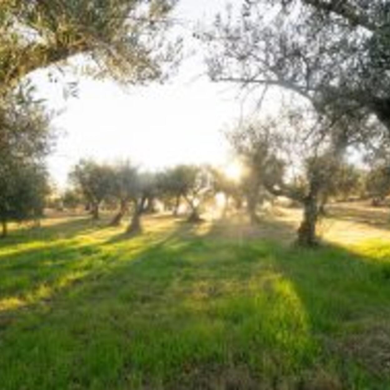DSC00555-300x189