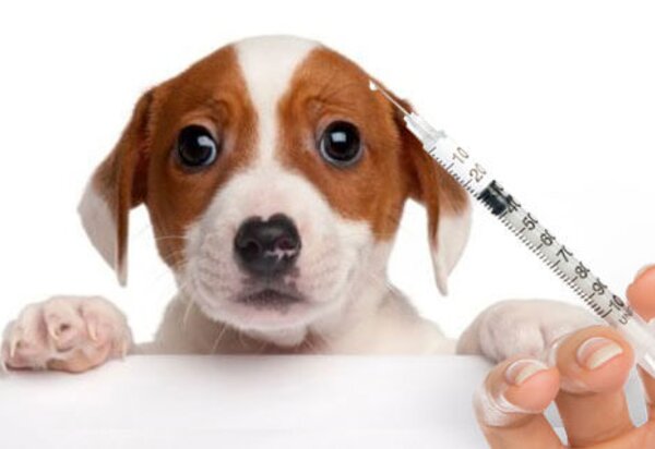 imagem_42_1_2500_2500