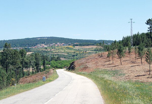 prazo_para_limpar_terrenos