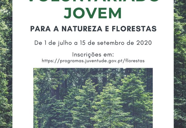 voluntariado_jovem_2_1_