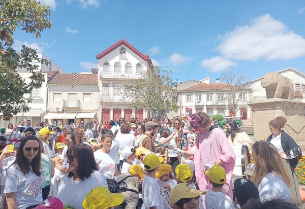 345164939_253175110602244_3981334317809716540_n