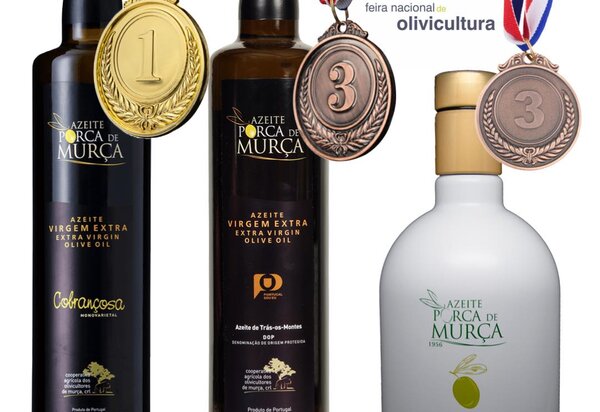 azeites_murca