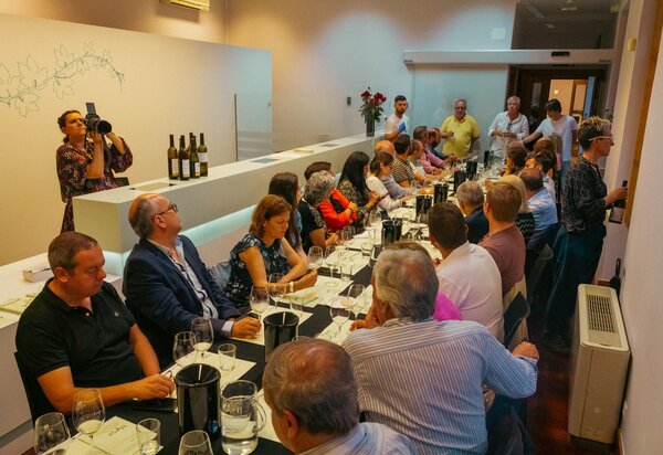 351136738_7156368391042500_2621291385728398915_n