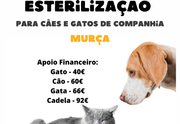 campanha_esterelizacao_2023_a