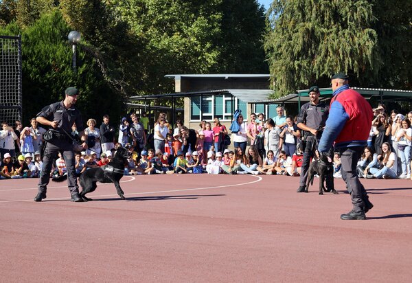 gnr_demosntracao_murca__13_