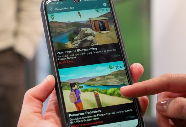 411046084_418092187215560_8291381394366739314_n