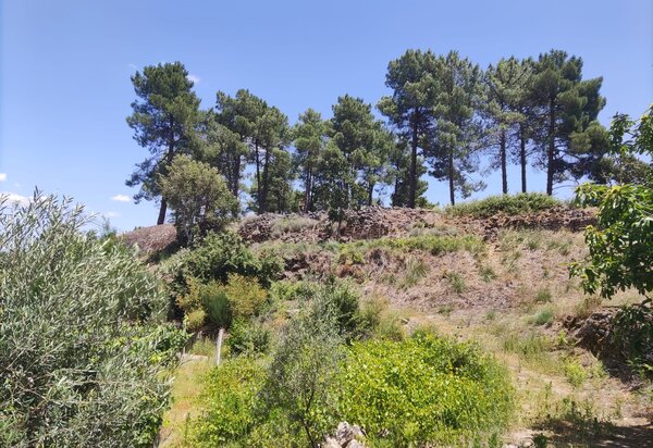 358135623_231408426451775_6969805067614274606_n