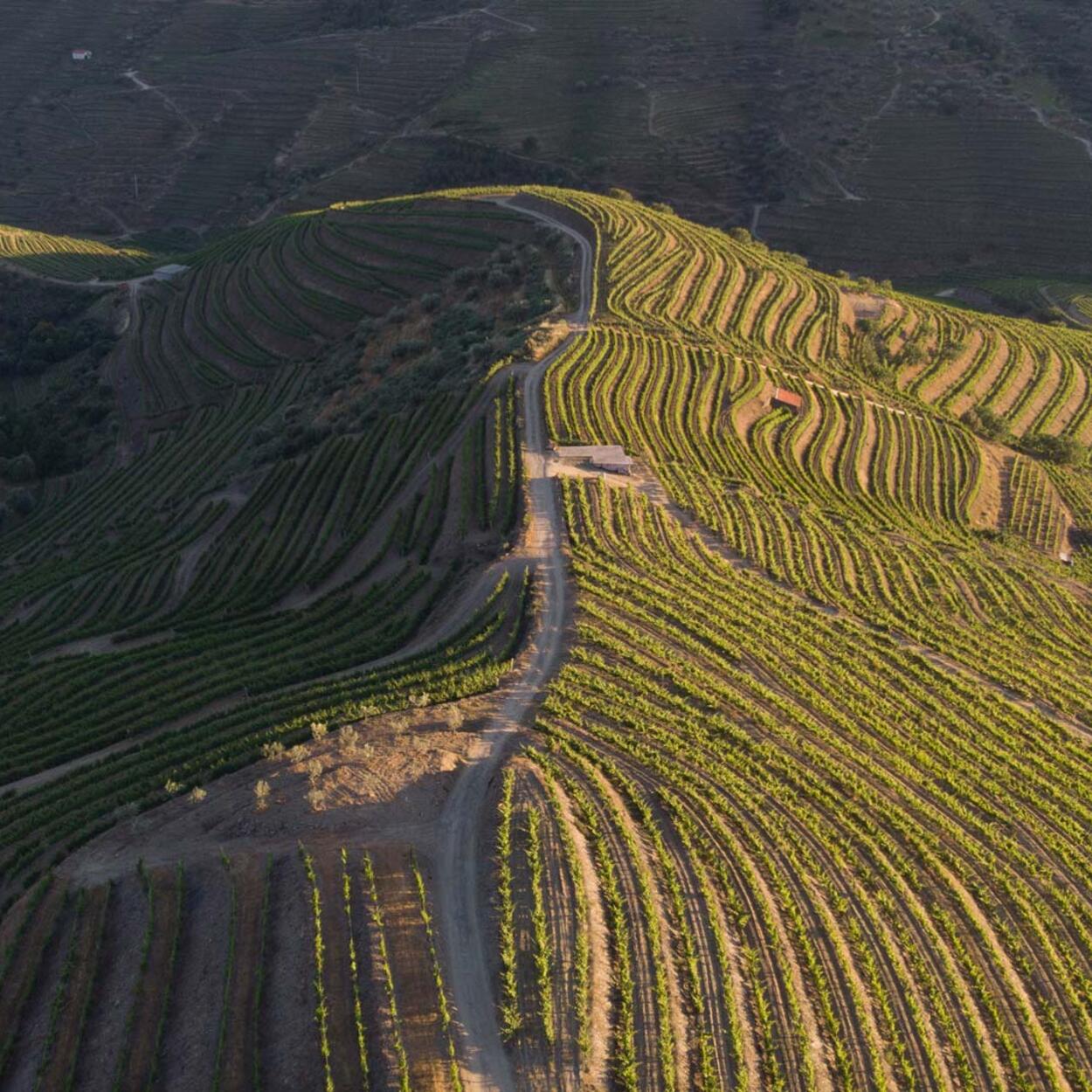 territorio_fundo_1980x1064