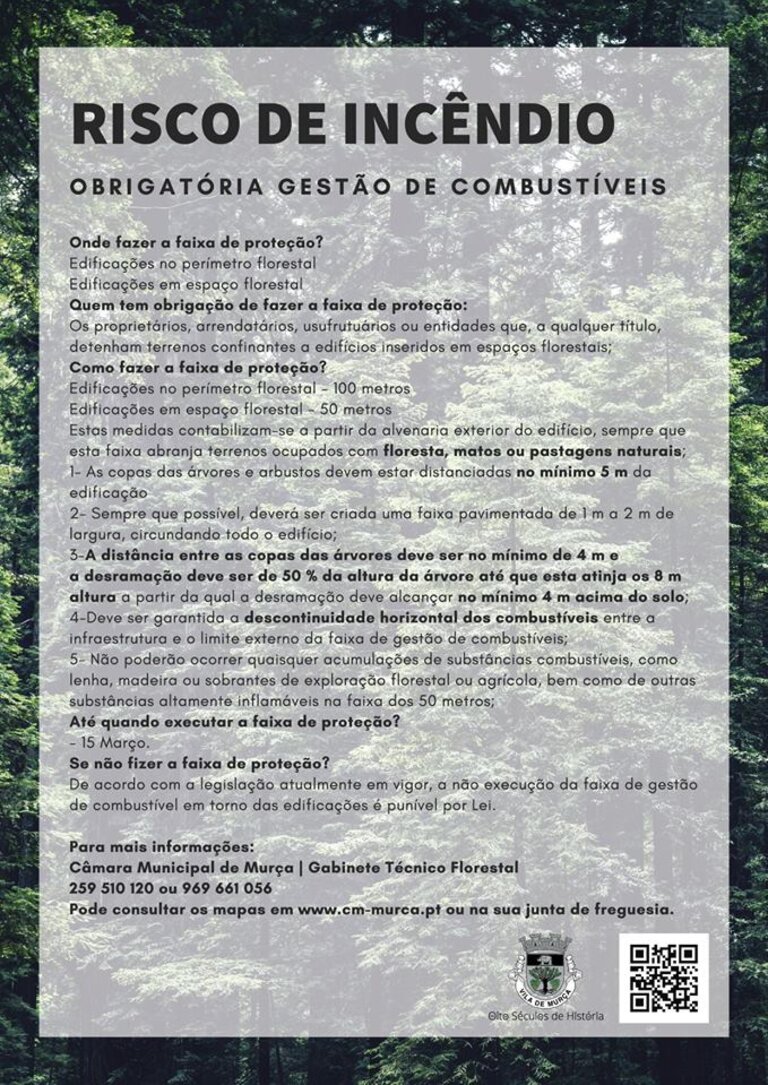 51989173_1637945503017606_1012374390676914176_n