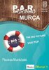 cartaz Iniciativa l&uacute;dica nas Piscinas de Mur&ccedil;a