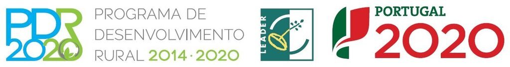 logo_finaciamentopassadicos