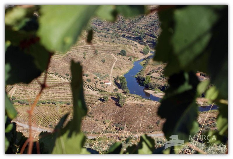 Imagem da Freguesia de Candedo