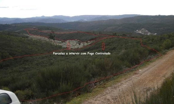 fogo controlado
