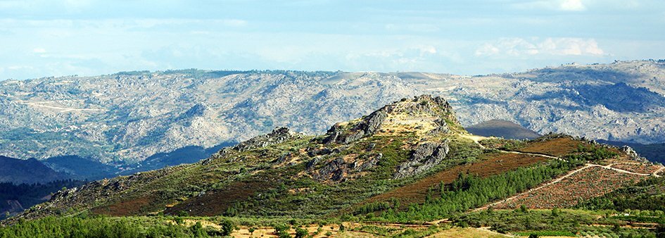 Castro de Palheiros