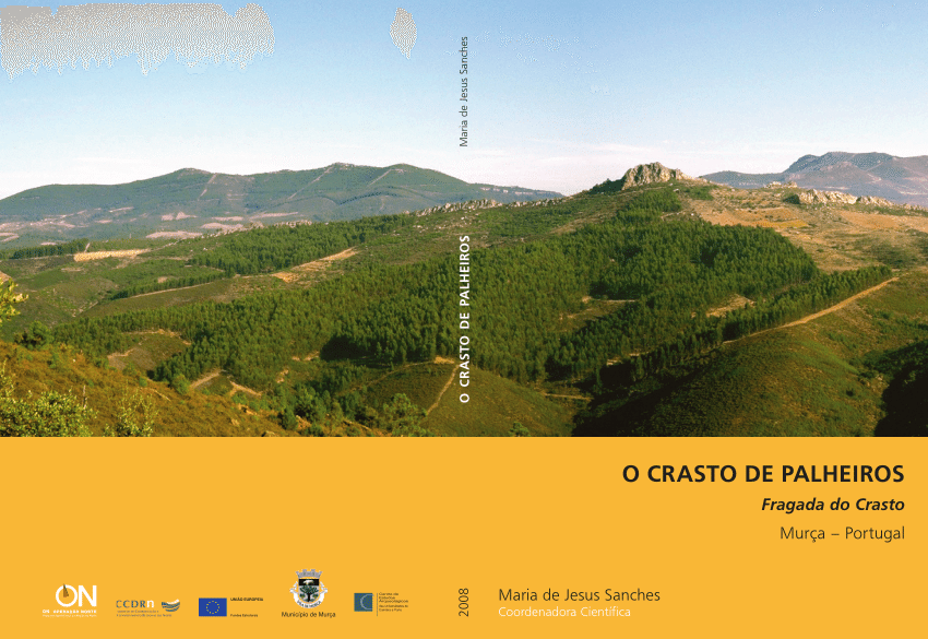 Monografia Castro de Palheiros