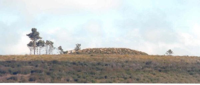 c0e99b1da9971dbc1d9cecc086e317c8