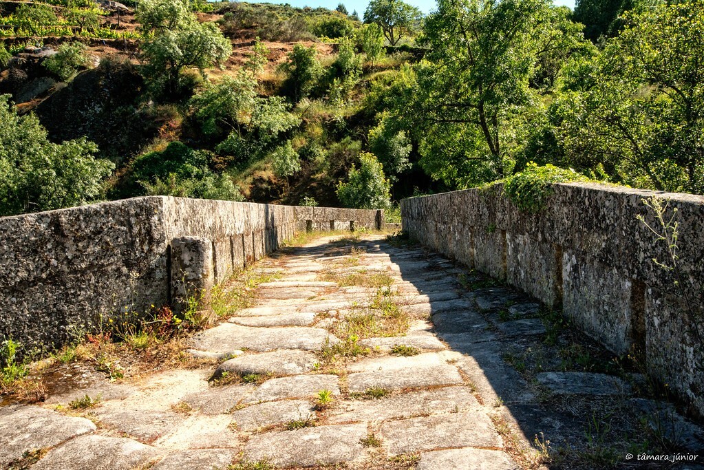 28566018967_79659c9ffe_b