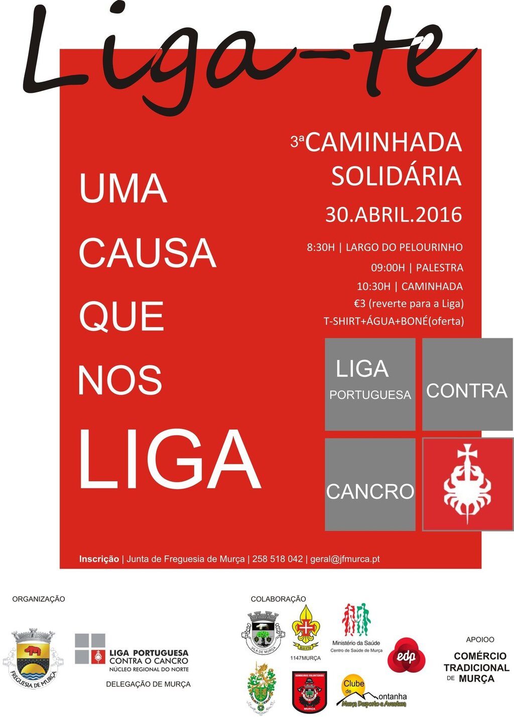 cartaz Liga Portuguesa Contra o Cancro: uma causa que nos liga