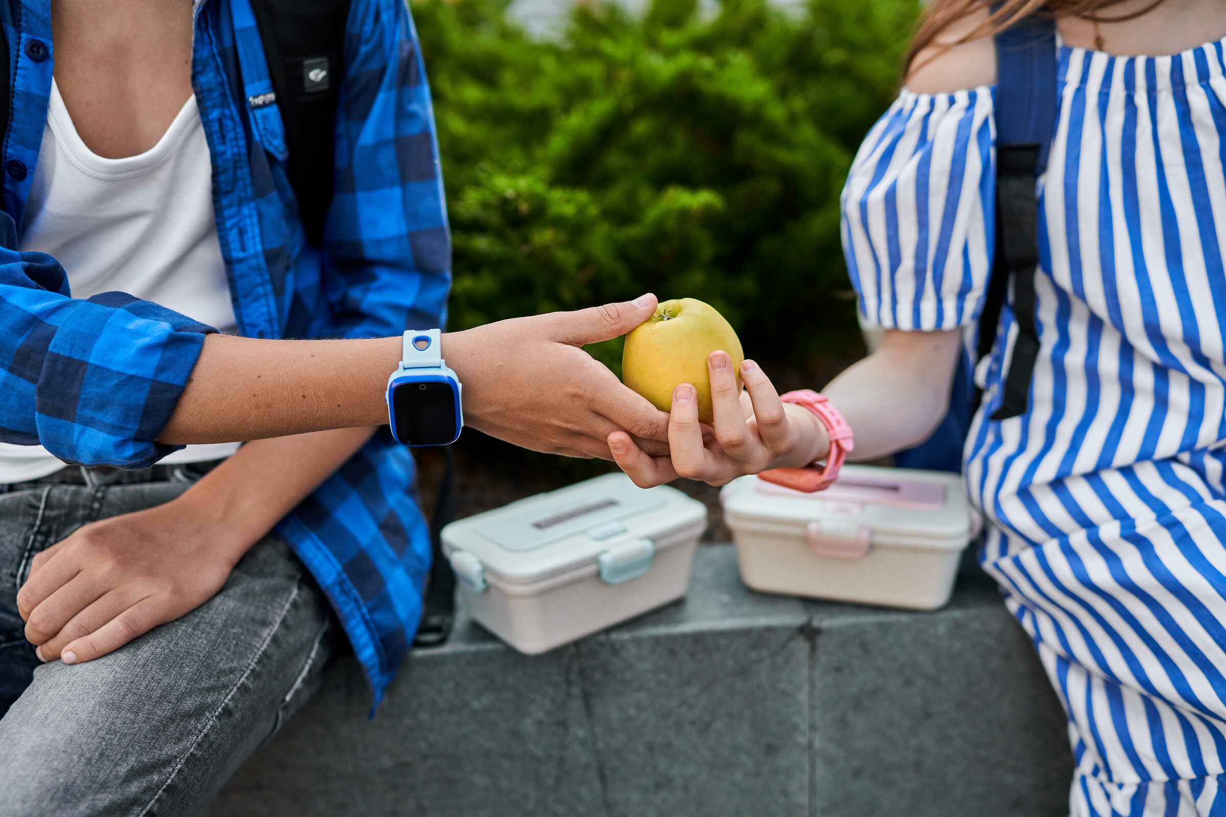 Município assegura distribuição de fruta e leite escolar no ano letivo 2023-2024