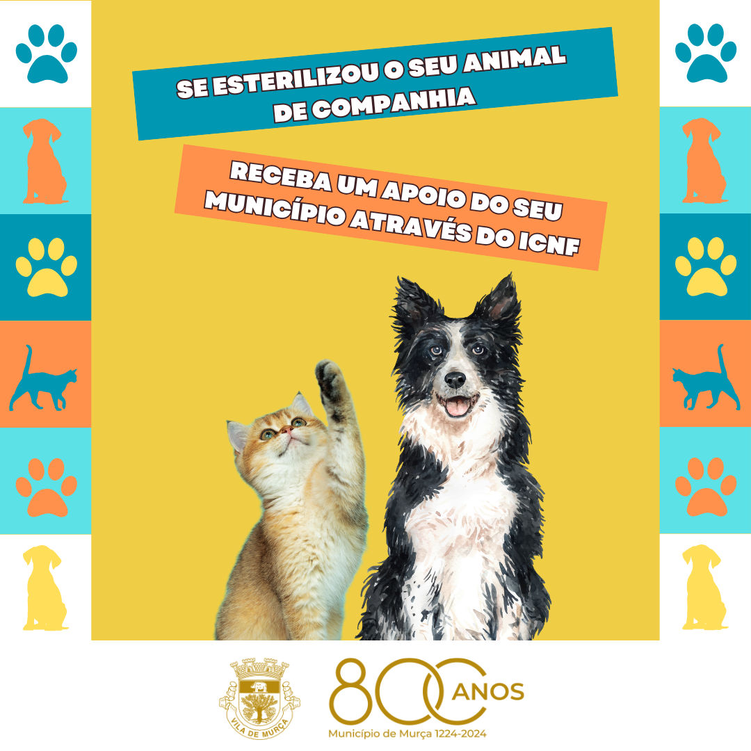 Se esterilizou o seu animal de companhia receba um apoio do seu Município