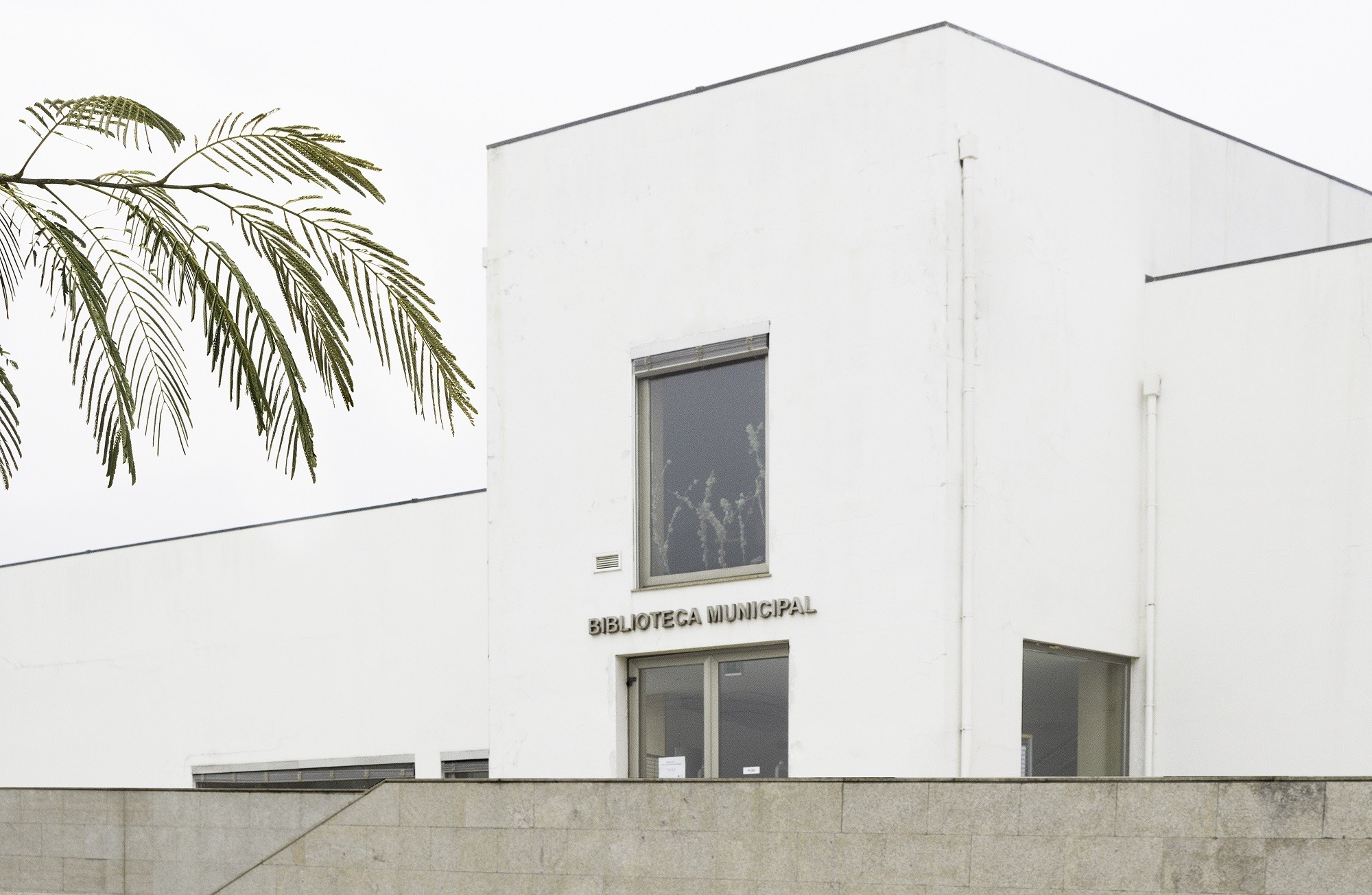 Publicações regulares da Biblioteca Municipal de Murça para 2025