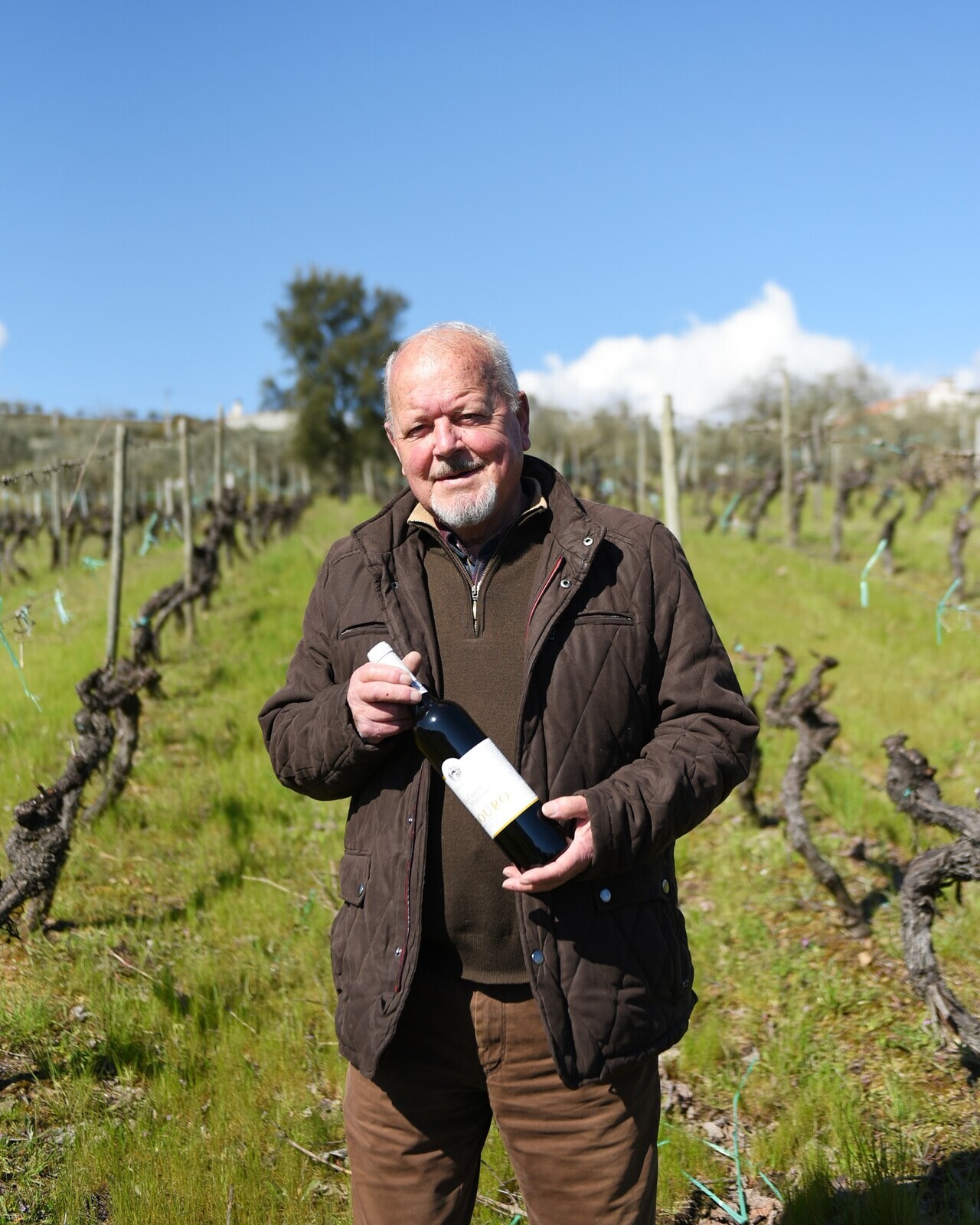 Casa Castro Malheiro: Tradição, vinho e poesia no coração de Noura