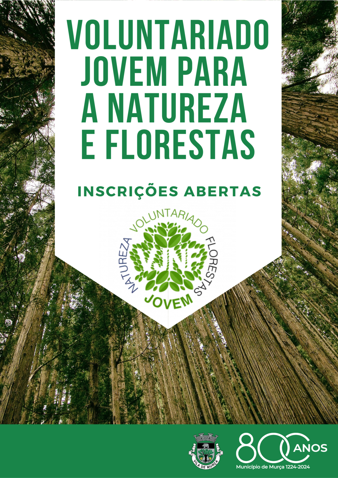 Inscrições abertas para o Programa “Voluntariado Jovem para a Natureza e Florestas” em Murça