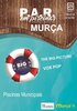 cartaz Iniciativa l&uacute;dica nas Piscinas de Mur&ccedil;a