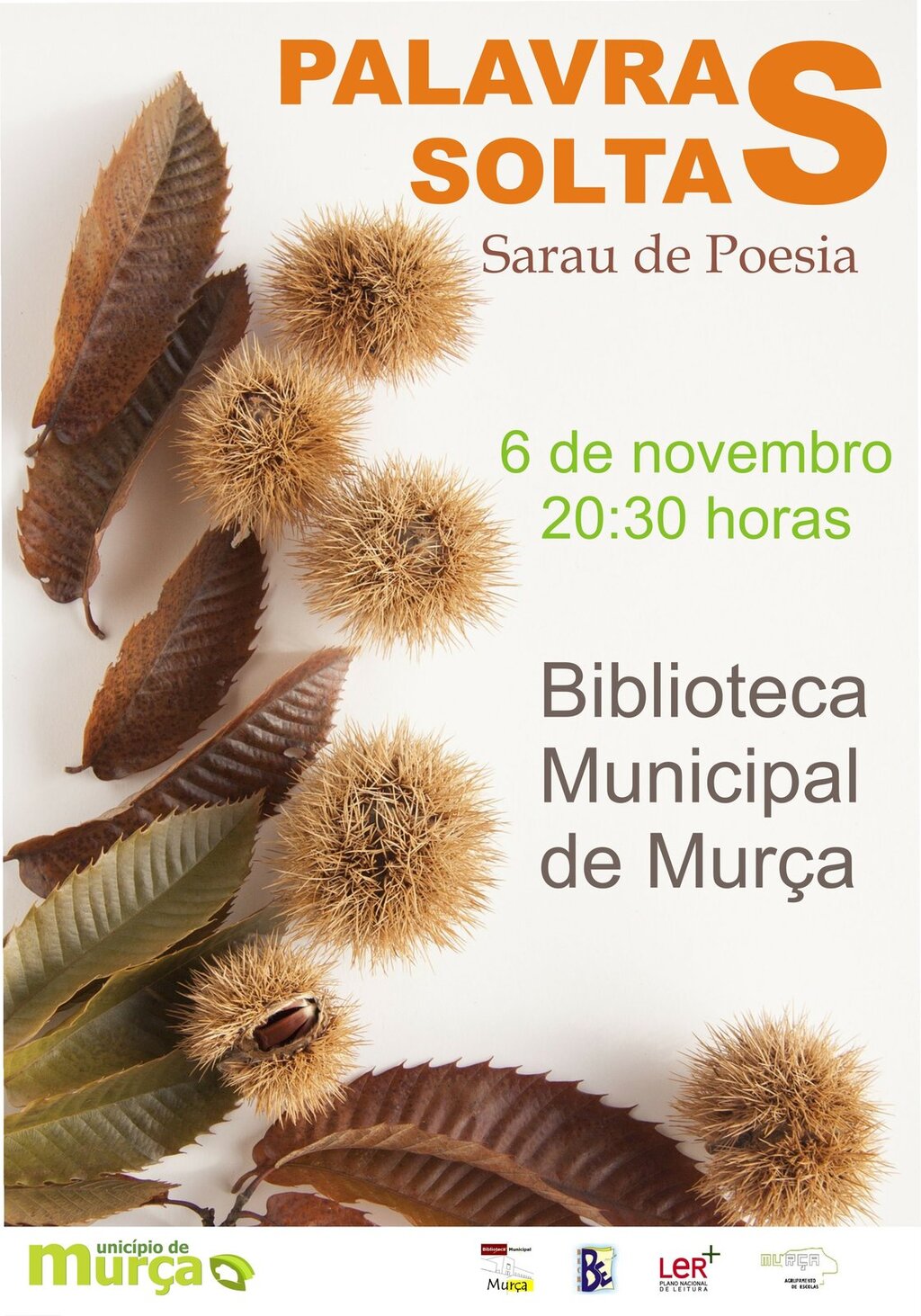 cartaz "Palavras Soltas" na Biblioteca Municipal a 6 de novembro